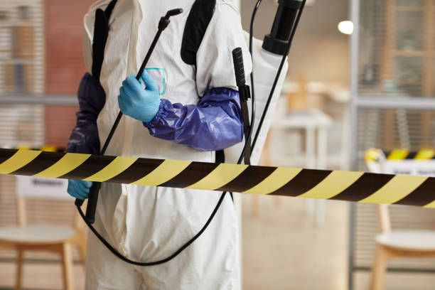 Professional Odor Removal technician working in Darlington, WI